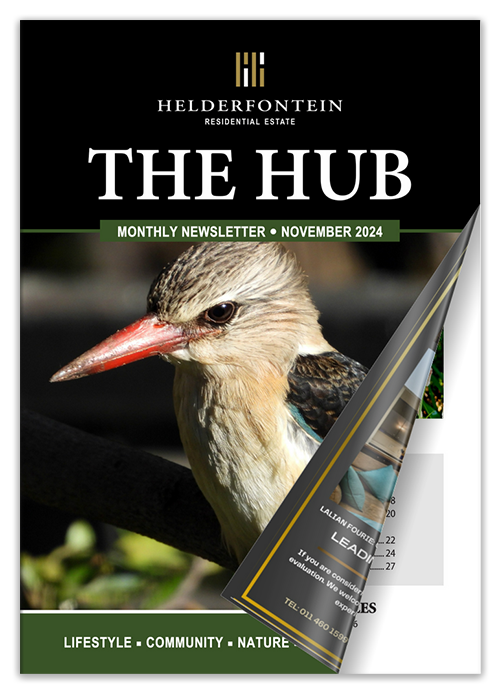 The Helderfontein Residential Estate Newsletter - THE HUB - November 2024