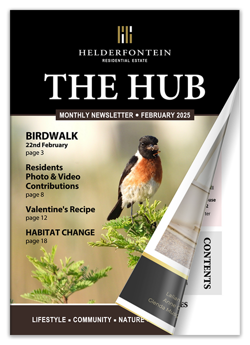 The Helderfontein Residential Estate Newsletter - THE HUB - February 2025