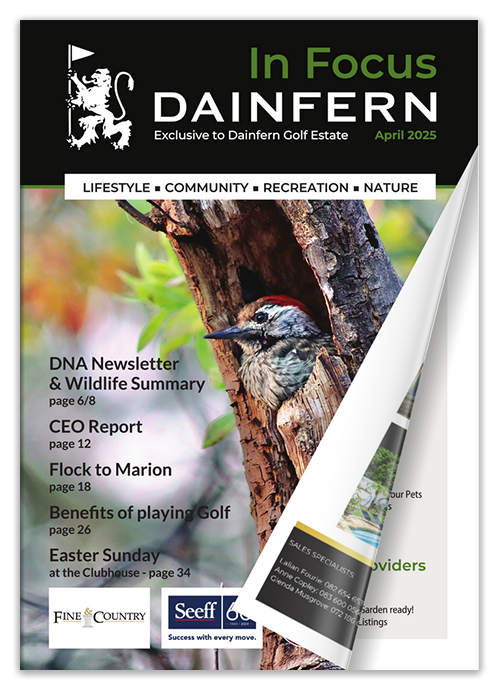 The Dainfern In Focus Magazine - April 2025