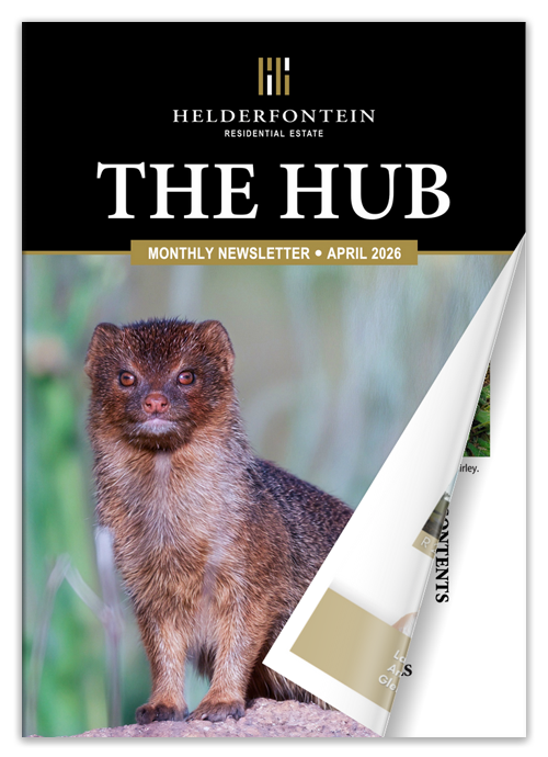 The Helderfontein Residential Estate Newsletter - THE HUB - April 2026